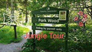 Jungle Tour 310521