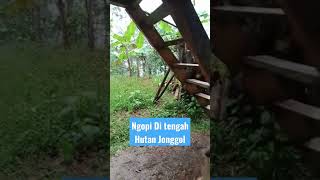 Ngopi Di Hutan Jonggol