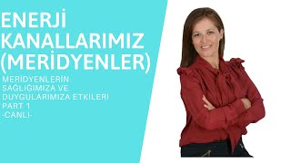 Enerji Kanallarımız Meridyenler - Meridyenlerin sağlığımıza ve duygularımıza etkileri