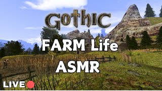 Gothic 2 Lobart Farm  ASMR 24/7 Ambiance