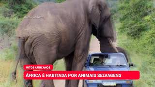 Mitos sobre África | África é habitada por animais selvagens