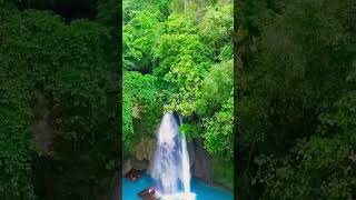 Waterfall in beautiful forest #travel #youtubeshorts #waterfall #forest #vacations #tourism