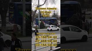 ТАШКЕНТ АЛМАТЫ СПАЛЬНЫ САЛОН АВТОБУС #алматы #автобус #ташкент #almaty #toshkent #331660444 #reys707