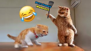 FUNNIEST Cats And Dogs Videos - Best Funny Animal Videos 2024 Part 5