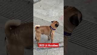 2023 LA Marathon