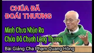 Chúa Đã Đoái Thương Mình Chưa Nhận Ra    , Bài Giảng Cha Hồng