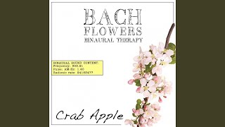 Crab Apple EFT Dose Therapy (Binaural Real Frequency from Bach Flowers)