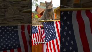 Please Subscribe :) Top 10 Cat Lover Countries in the World #animals #cat #shortsvideo