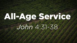 John 4:31-38 | All-Age Service