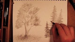 How to Draw a Tree