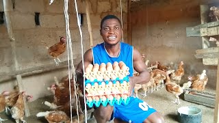 How To Get Potential Customers That Will Buy Eggs At Your Farm.