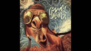 Camel Driver - Party Orge