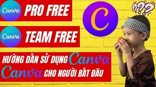 Hướng dẫn sử dụng Canva | Nhận tài khoản Canva | Canva Magic Write | Canva AI | Canva chatgpt | Team