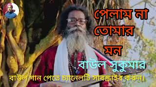 পেলাম না তোমার মন।Pelam Na Tomar Mon। Baul Sukumar। Bangla New Song 2023...