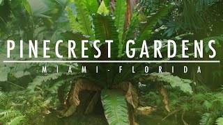 pinecrest gardens