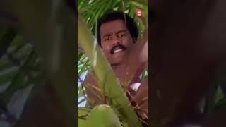 കലാഭവൻ മണിയുടെ ഒരു പഴയകാല രംഗം  | Sallapam