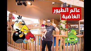 VLOG 006 | مصري في الانجري بيردز