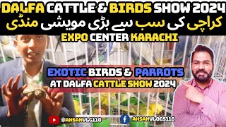 Dalfa Cattle & Exotic Birds Show 2024 || Exotic Birds & Parrots Market Karachi || Expo Center.