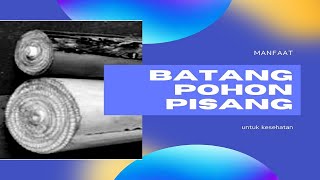 Rahasia Sehat yang Tersembunyi: Manfaat Luar Biasa Batang Pohon Pisang untuk Kesehatan Anda!