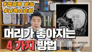 머리가 확 좋아지는 4가지 방법, 두뇌 집중력 향상 (4 Ways to Be Smart)