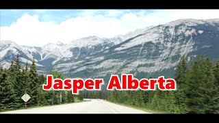 Jasper Alberta Road Trip  From Edmonton / Tips & Things You Might Not Know About Jasper