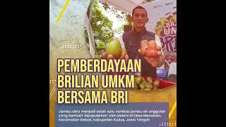 Jambu Citra, Varietas Jambu Air Unggul Jateng #BRIuntukUMKM #5TahunET #BriliandanCemerlang #qrisbri