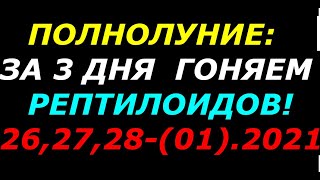 Полнолуние, 26,27,28 января 2021 гоняем рептилоидов!