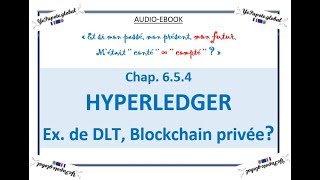 Chap 6.5.4 HYPERLEDGER Ex. de DLT, Blockchain privée ?