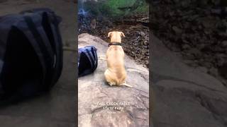 Meditating at Fall Creek Falls