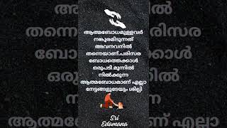 🇮🇳 🪷 ശുഭരാത്രി 🧡 സുഖനിദ്ര 💤 💕🦜 @sriedamana @rhythmoflove4422 #malayalam #trending #viralshort #quote