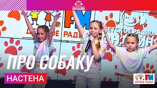 Настена - Про Собаку (LIVE на Детском радио)