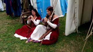 Mediaeval Festival Tewkesbury 2016. Jolantha Fashion