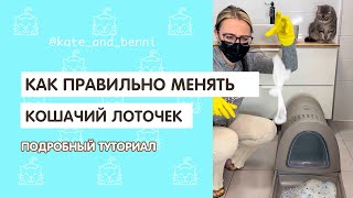 Как правильно менять кошачий лоточек. Подробный туториал