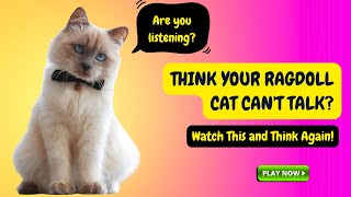 Think Your Ragdoll Cat Can't Talk? Watch This and Think Again!