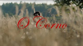 O Corno (Dir. Jaione Camborda)