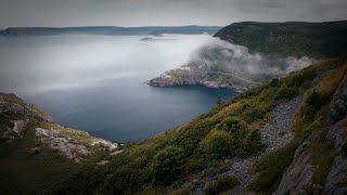 The Island Diaries: Beauty Shots - Newfoundland