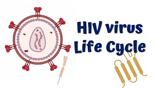 HIV life cycle animation || HIV infection || HIV replication