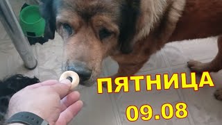 ПЯТНИЦА 09.08