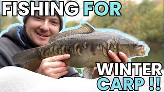 Can I Catch Some Winter Carp ??? THIS WAS CRAZY !!!!