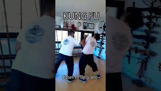 Clawes de Kung Fu en Belgrano #claseskungfu #kungfutradicional #shaolin #choyleefut