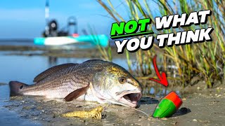 everyone hates this lure... catch cook tuscan redfish