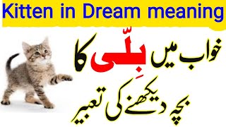 khwab mein billi dekhna | khwab mein billi ka bacha dekhna | khwab mein cat dekhna