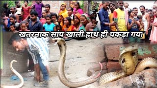 जान लेने के बाद आंगन में जा बैठा जहरीला नाग।। देखिए अद्भुत नजारा।। Cobra kissing Video।।