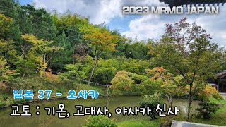 교토 청수사와 함께 가보기 좋은 숨겨진 명소들 : 교토 고대사, 아카사 신사, 기온  [2023일본-37, 오사카]