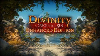 Играем в Divinity: Original Sin - Enhanced Edition по локалке. Небольшой Let's play.