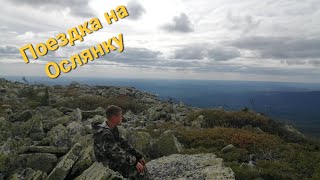 Поездка на Ослянку🗻