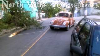 ARVORE vs FUSCA - MAE NATUREZA vs FUSCA !