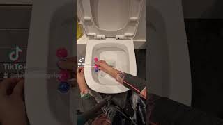 The Correct Way To Use Bloo Toilet Freshener #learnontiktok #cleantok #toilet #bloo #freshener