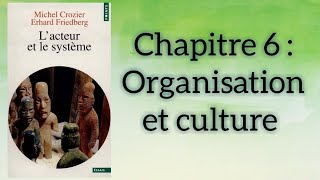 L'acteur et le système, Michel Crozier et Erhard Friedberg. Chapitre 6