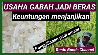 USAHA GABAH JADI BERAS || Keuntungan Menjanjikan  #PenggilinganPadiAmatir